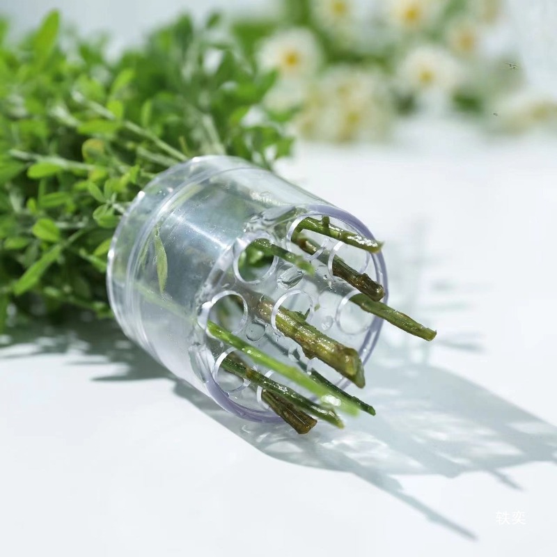 เกลียวผู้ถือ Stem ทนทาน CLEAR  - Supply For Florist บทวิจารณ์และราคา